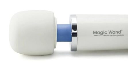 Magic Wand Rechargeable HV 270 Cordless Multi Speed Massager